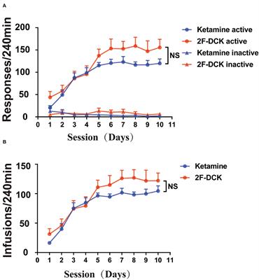 A comparison of reinforcing effectiveness and drug-seeking reinstatement of 2-fluorodeschloroketamine and ketamine in self-administered rats